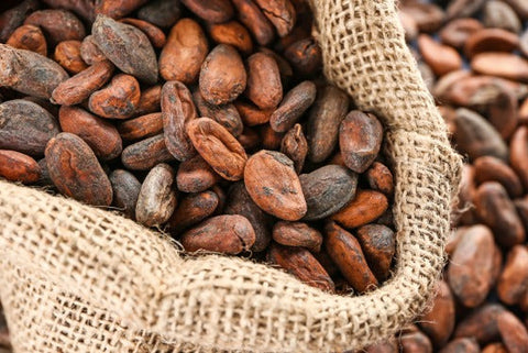 Le Varietà Genetiche del Cacao: Le Origini del Gusto Autentico